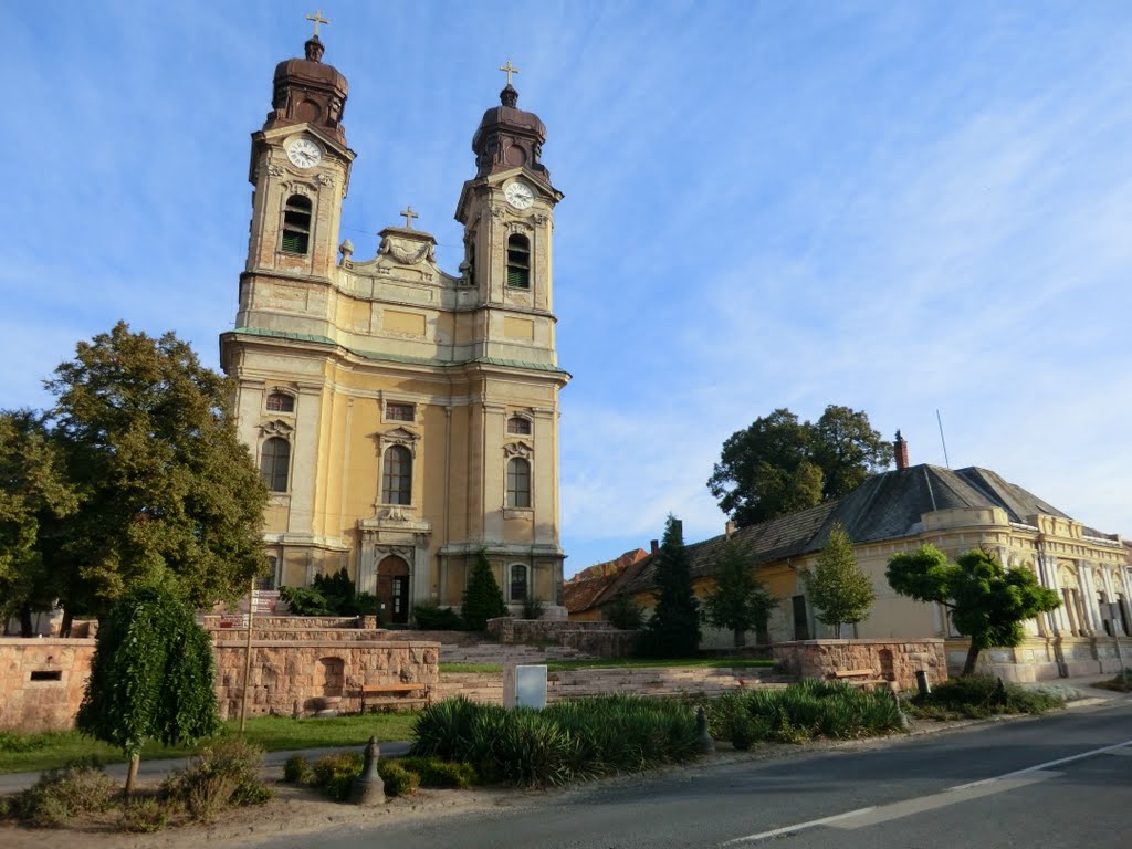 Cathedral Tata by czvikovisio