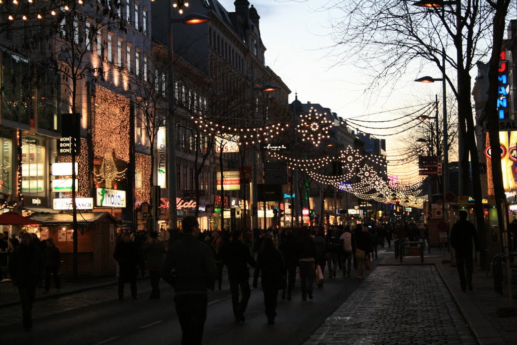 WIEN-WHAT A WONDERFUL PLACE TO LIVE IN-MARIAHILFERSTRASSE WINTER 2010 by Piotr Chrząszcz