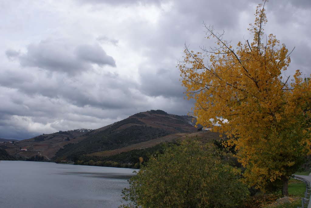 Rio Douro by a luis torres