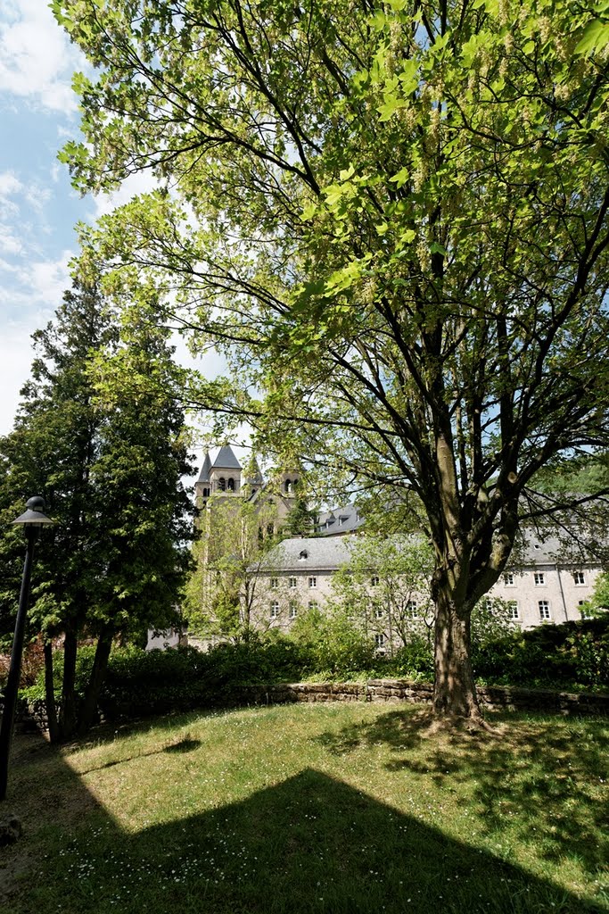 Echternach - Rue de la Montagne - View NW at Peter-Paul Church towards the Abbey of Echternach 698 founded by St Willibrord by txllxt TxllxT