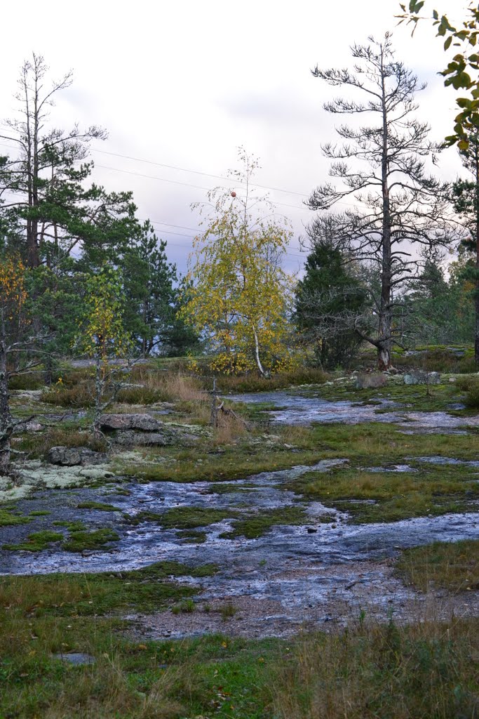 Rocky forest, Hagakärssbergen, Vantaa, 20111008 by RainoL