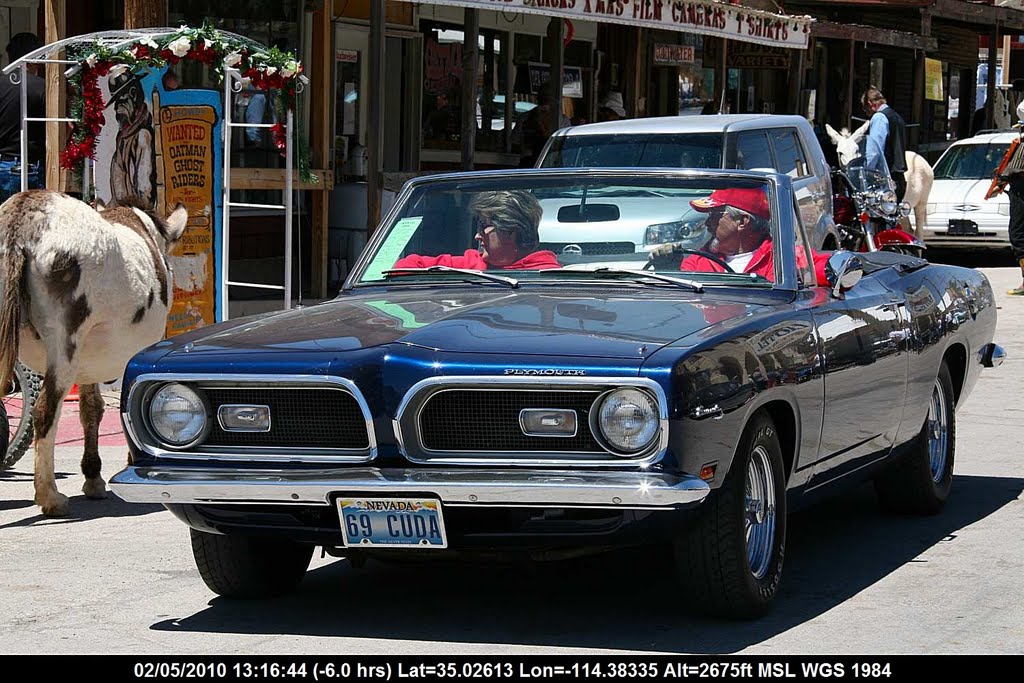 Route 66 - Arizona - Oatman - Route 66 Fun Run - Plymouth Barracuda Convertible 1969 by Pierre Marc