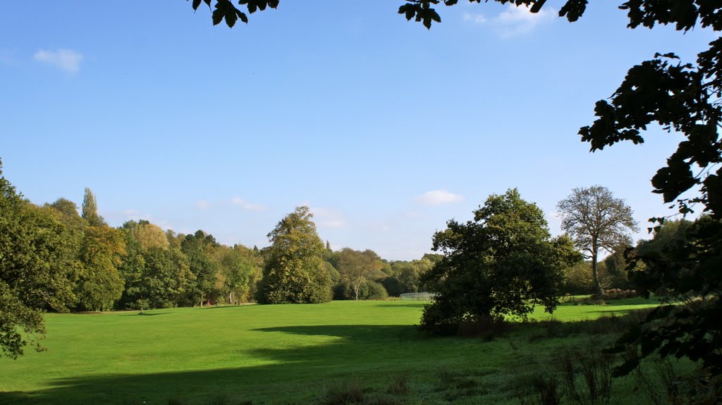 Wilmslow, The Carrs by Dennis Neill