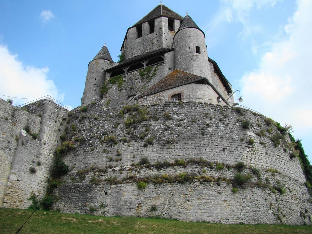 Provins Cité médiévale(la Tour cesar) by Panos Panagiotis