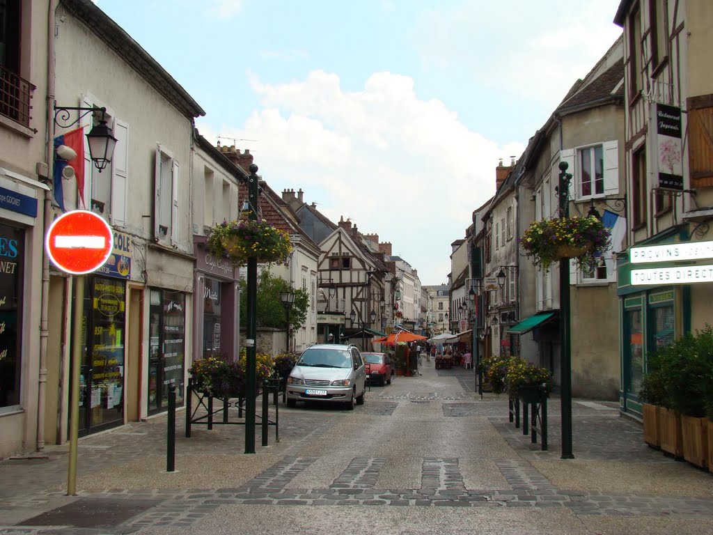 Provins Cité médiévale by Panos Panagiotis