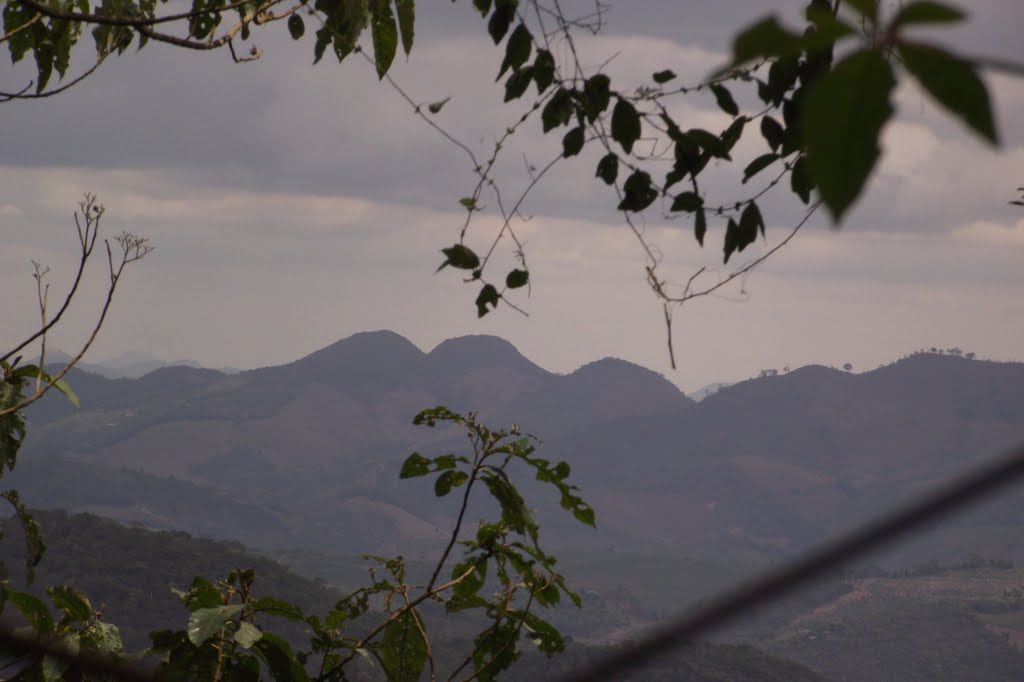 Santa Bárbara do Leste - State of Minas Gerais, Brazil by Instituto Homem-mato