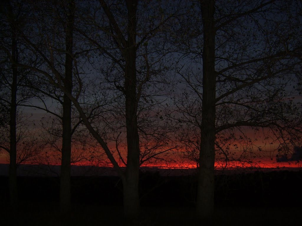 Dusk looking towards Barnby-in-the-Willows by Leedsboy