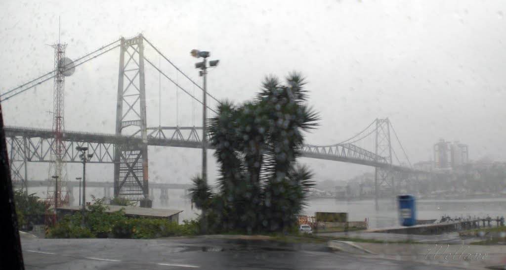 Ponte Hercilio Luz - Florianopolis by Jefferson Wellano