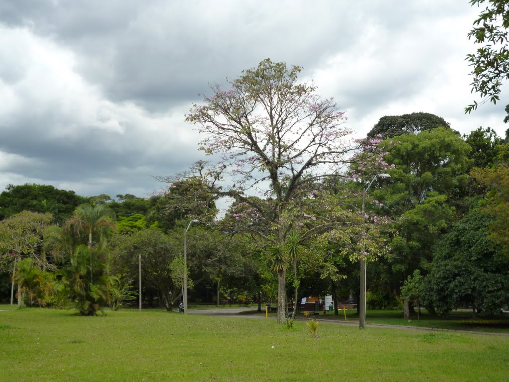 Zona Verde, Universidad Nacional de Colombia by Juan José González V…