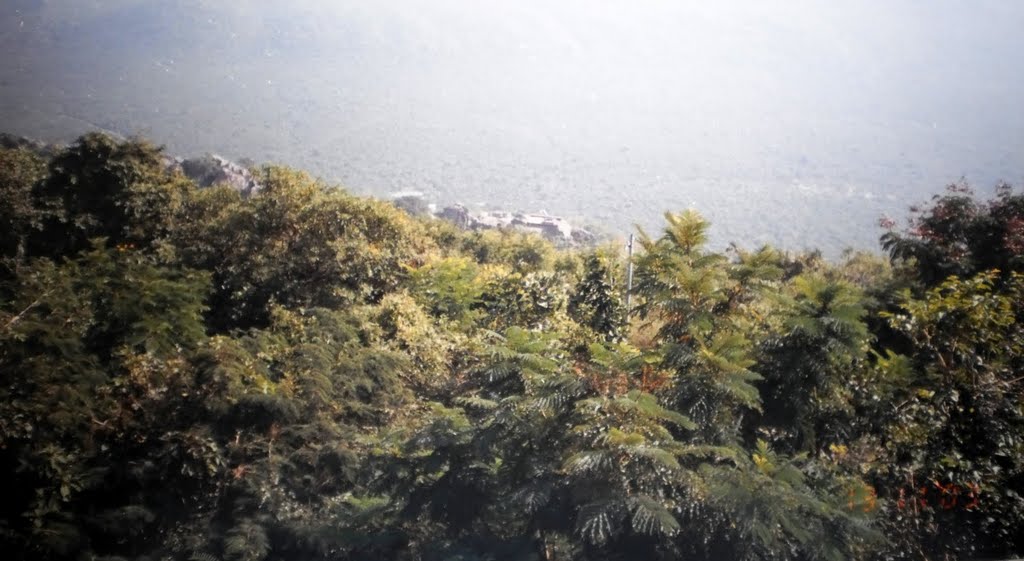 View of Giddha Kuta or Vultures Peak, From Peace Pagoda. by PM Velankar