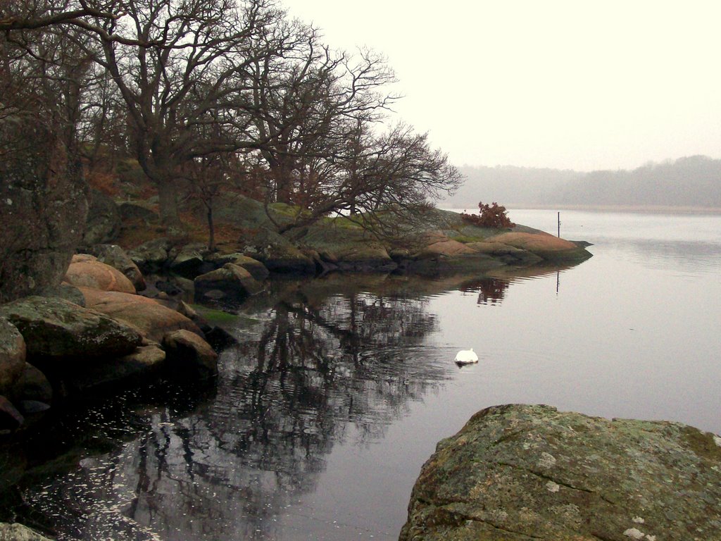 Gråväder, Skönstavik by Spacebug