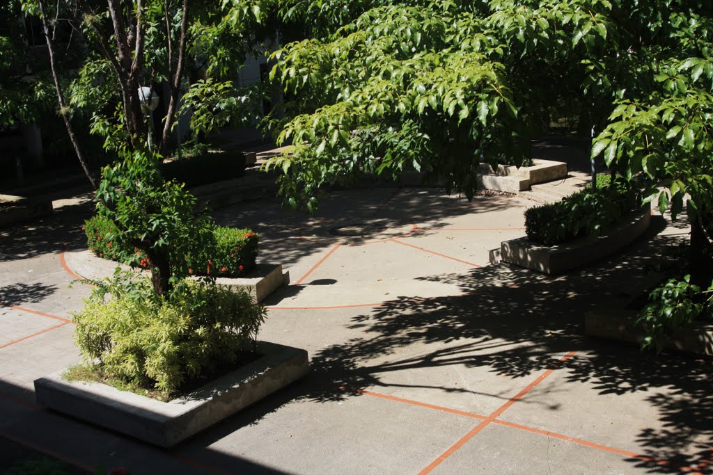 Patio Interior de la Facultad de Ciencias Naturales de la UPR-Rio Piedras by Ricardo David Jusino