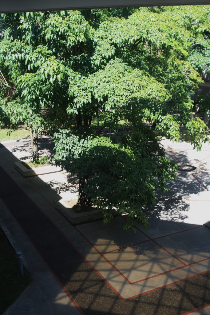 Patio Interior de la Facultad de Ciencias Naturales de la Universidad de Puerto Rico-Rio Piedras by Ricardo David Jusino