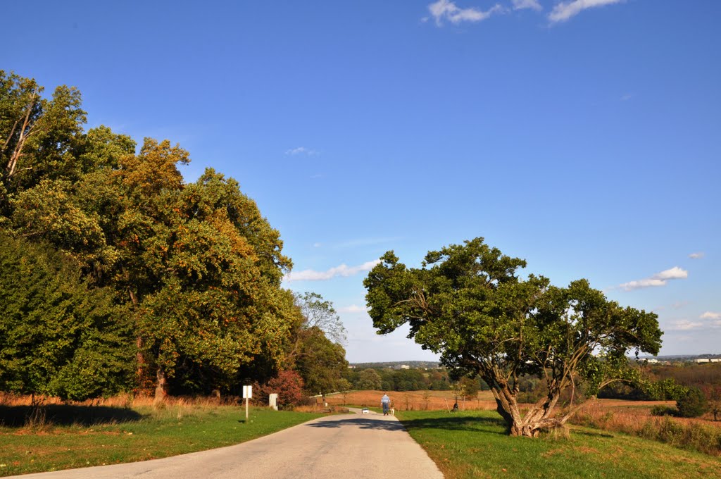 Valley Forge National Park by Andy Dinh