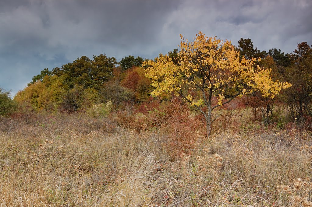 Dryanovo, Bulgaria by Milena Racheva