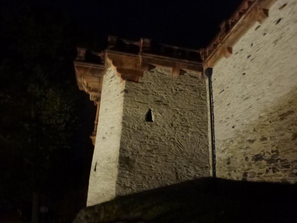 Burg Mylau bei Nacht by Irwcam