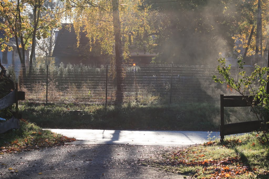 Rudens rīts by Māris Alsbergs