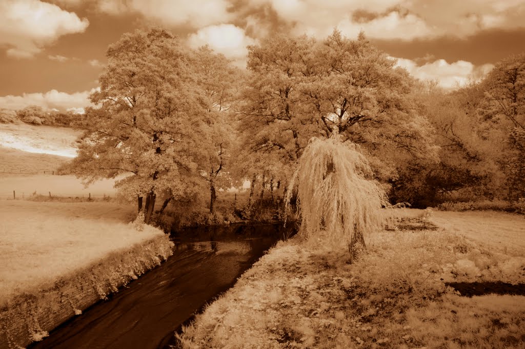 Dowriver view of the river Chew at Woollard. by Jusben