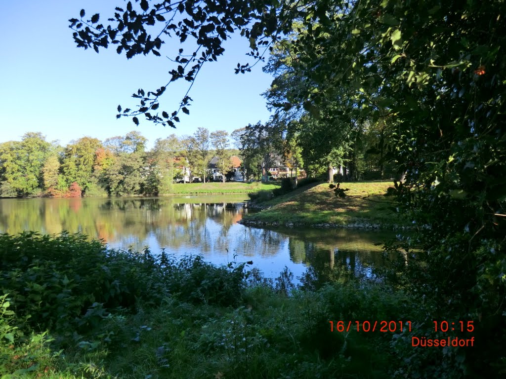 Düsseldorf-Grafenberg, Am Ostpark by Komplettservice