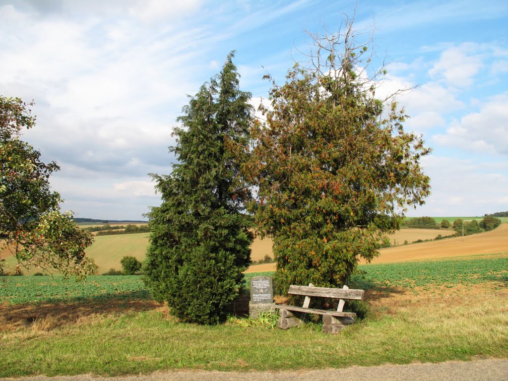 Gedenkstein Todesstelle Michael Fleischmann - am 18.09.1931 vom Blitz erschlagen by H. Beierstettel