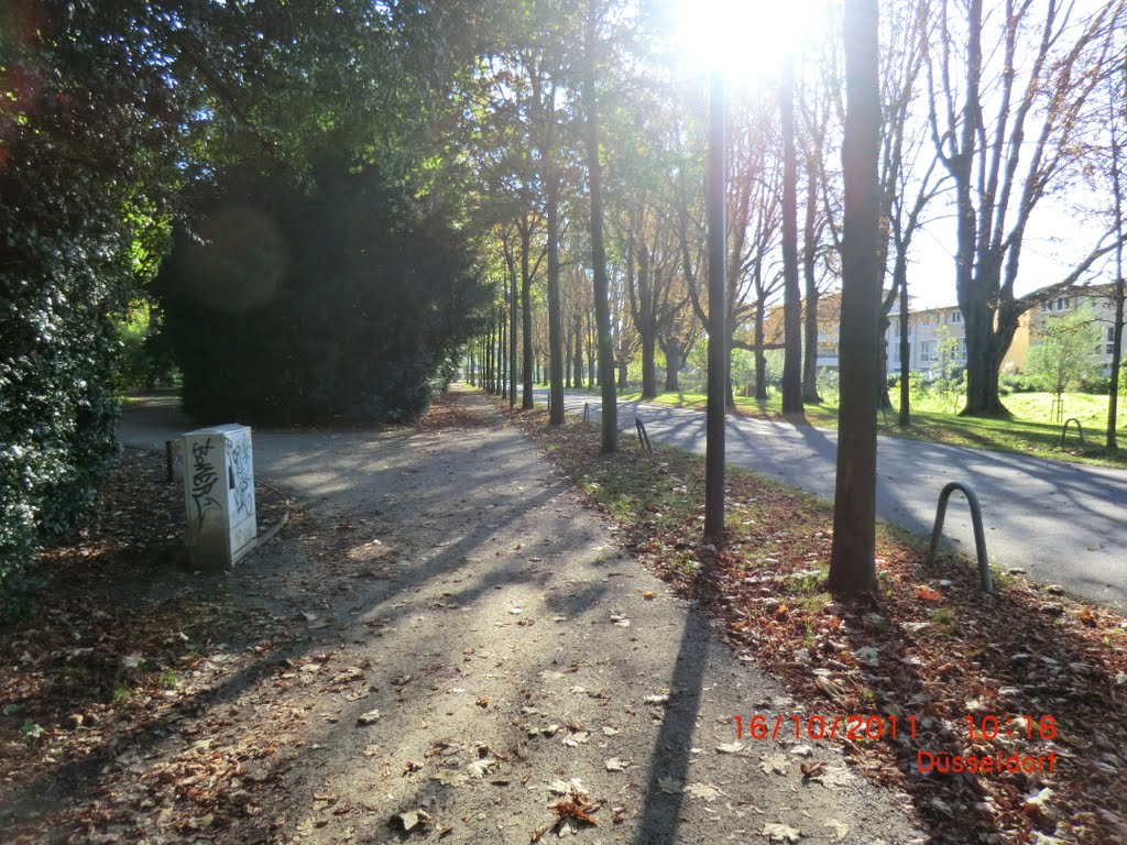 Düsseldorf-Grafenberg, Am Ostpark by Komplettservice