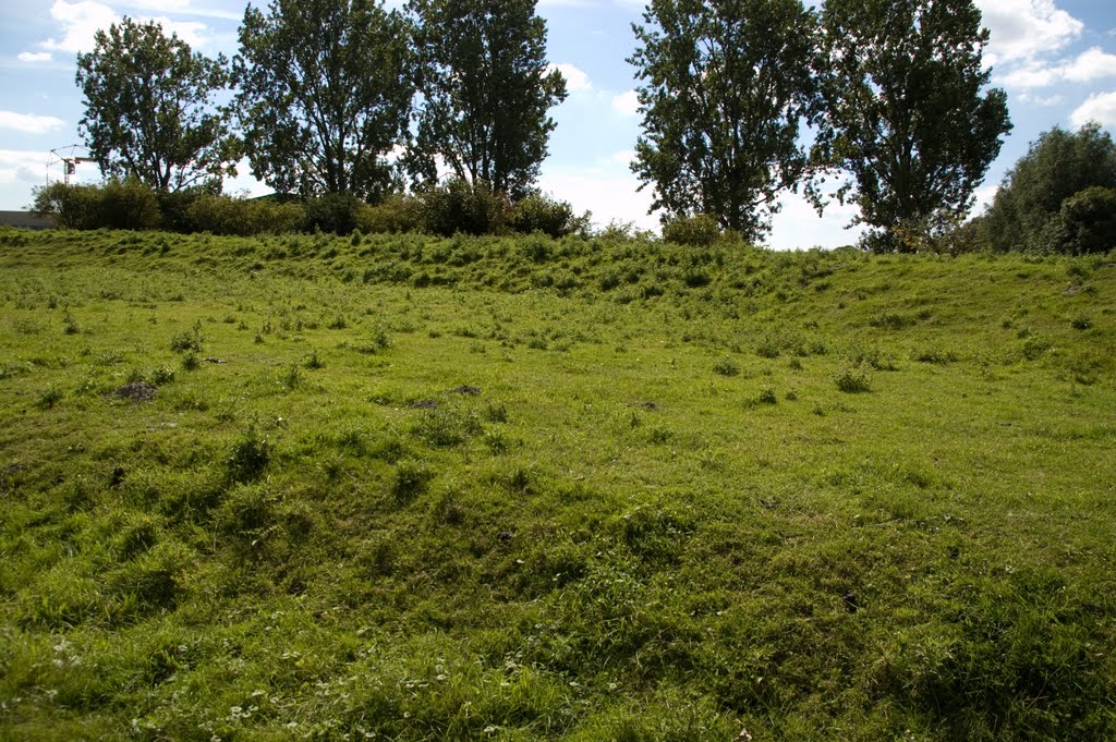 Battery Aalsmeerderweg by Dick Wools