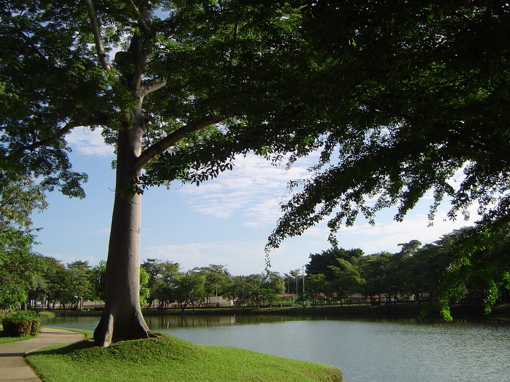 Ceiba en la Polvora by tito herrera