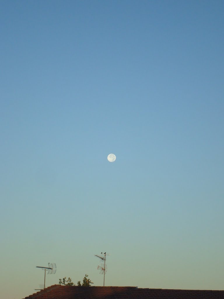 LUNA LLENA POR LA MAÑANA EN COGECES DE ÍSCAR by elefantito10