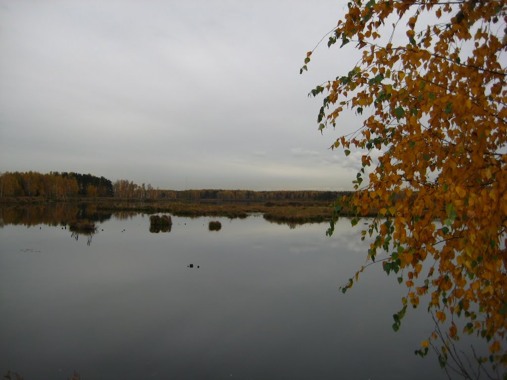 Mytishchinsky District, Moscow Oblast, Russia by Tomo4ka 4emodanova