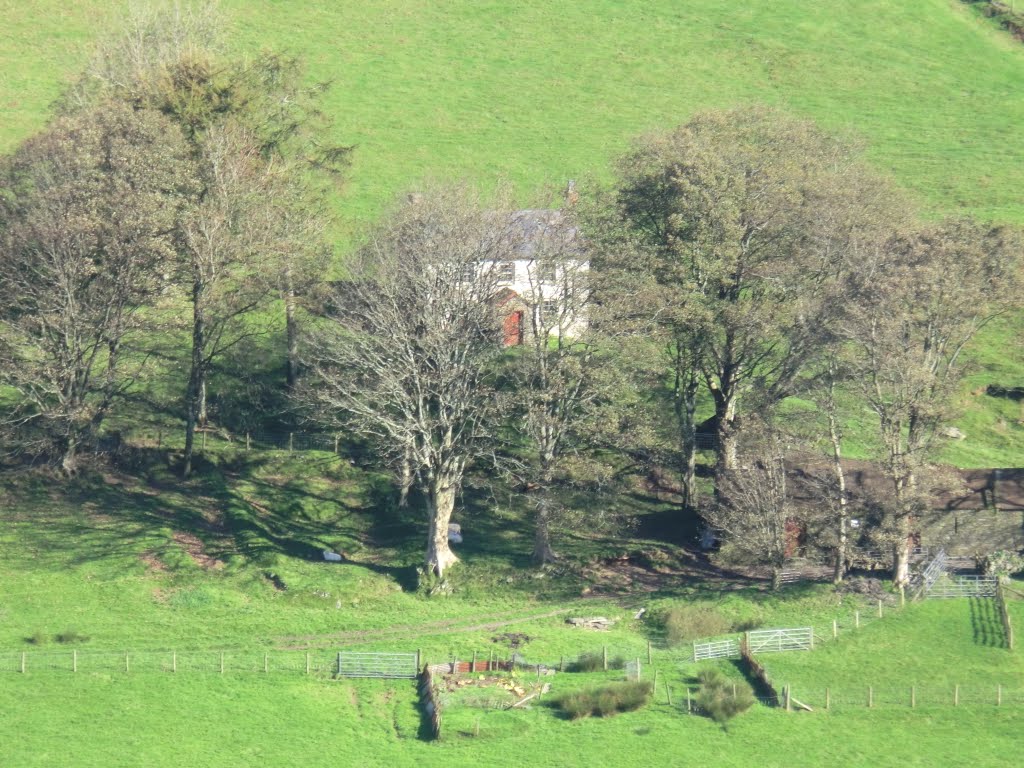 Ceulanamaesmawr, UK by Annette Strauch