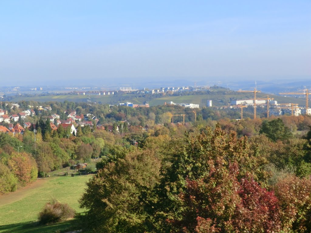 Blick vom Bismarckturm, 16.10.2011 by Rolf Schaeffer