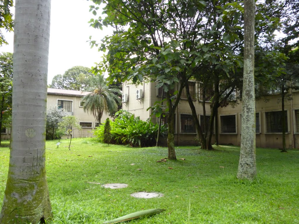 Parte Trasera Bloque 11, Universidad Nacional de Colombia by Juan José González Vargas