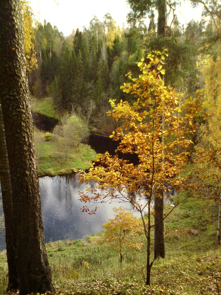 Осень на реке Оредеж by Алексей Лупашевский