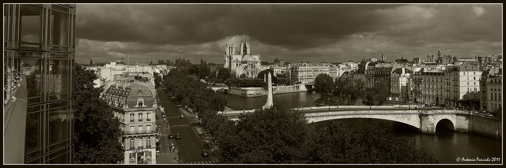 Paris, les deux îles by paninho