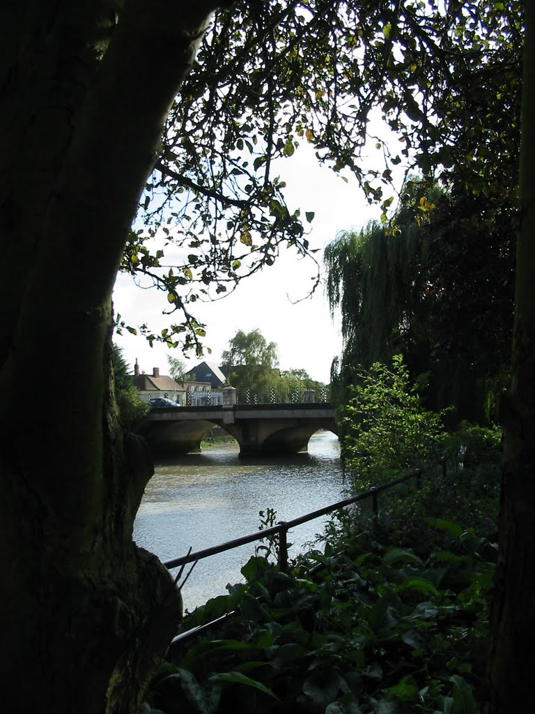 View of the road bridge by Shimmerxxx