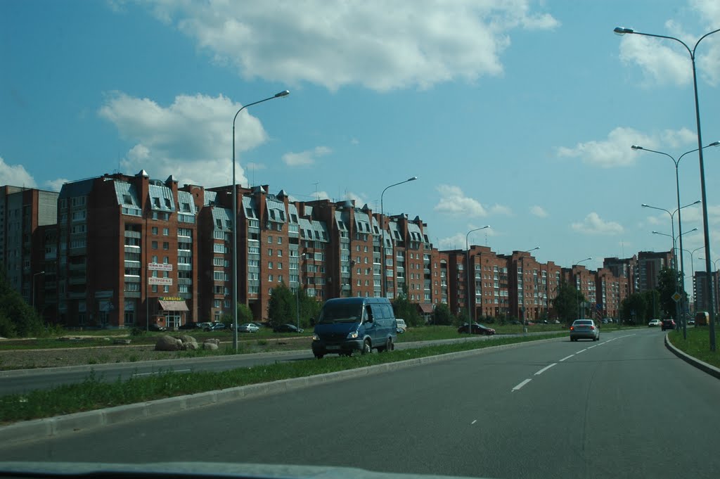 Sosnovy Bor, Leningrad Oblast, Russia by demonzak