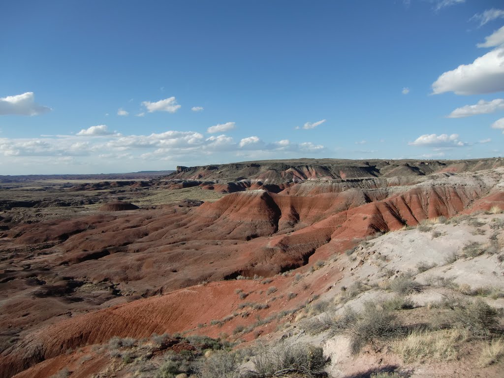 View from Lacey Point, Petrified Forest National Park, Arizona - April 2011 by Dirk H.