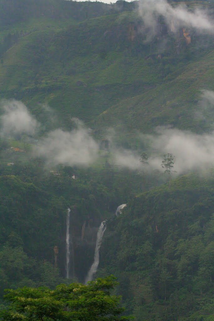 Sri Lanka 2010. On our way to Mackwoods Tea. © Roger N by Roger N