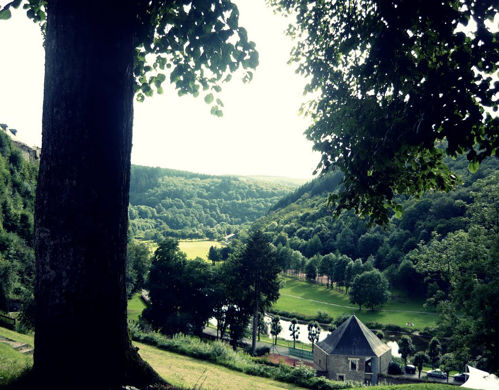 Bouillon by zemiorka