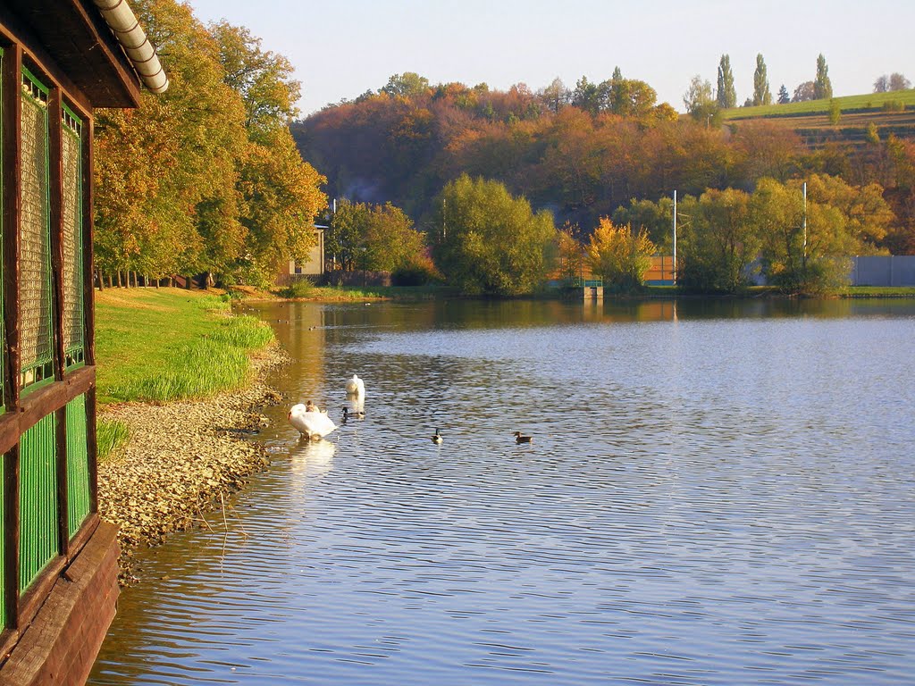 Podzim 2011 - část rybníka (od Rybářské "boudy") by Jaroslav čulík