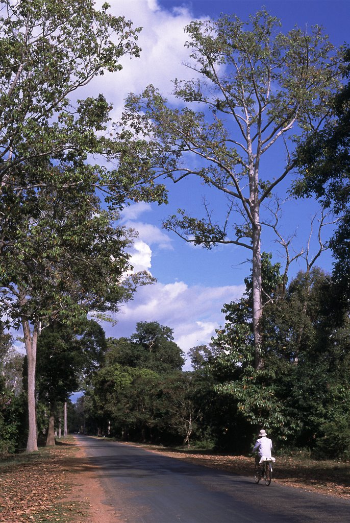 a view in Siem Reap by N.Yamada