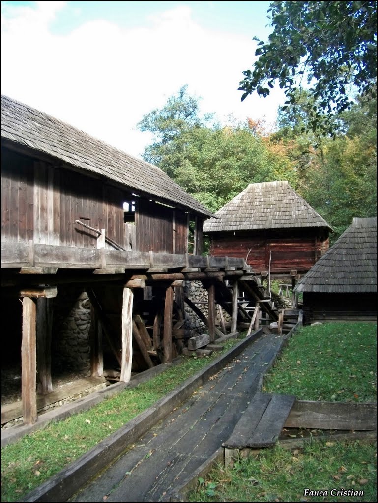 Muzeul Civilizaţiei Populare Traditionale ASTRA *** Complex de industrii populare - Polovragi, jud. Gorj / Hydraulic complex of peasant industries - Polovragi, Gorj county. by Fanea  Cristian