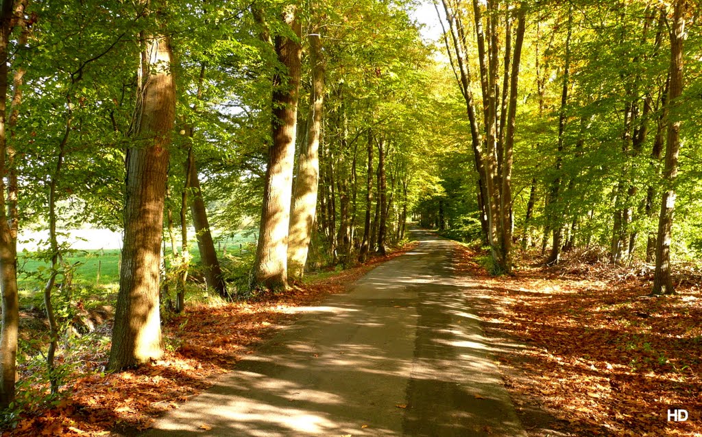 Schüttorf - Herbststimmung by Heribert Duling