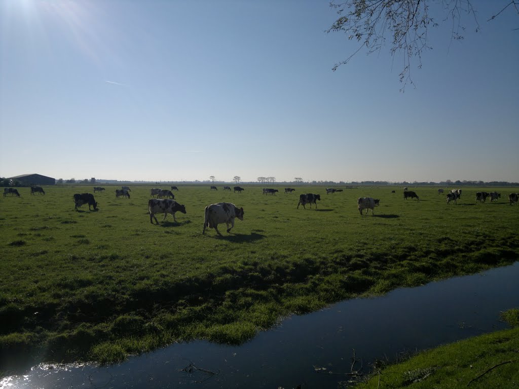 Middenbeemster, Middenweg by XanderBW