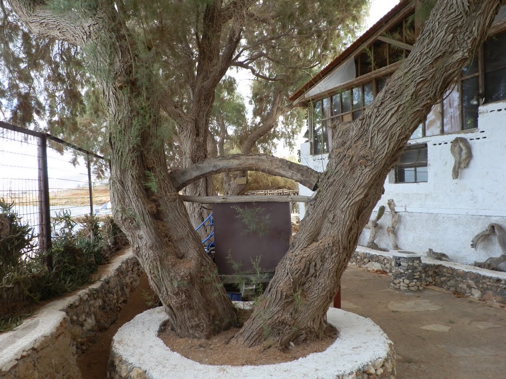 Lychnostatis, Cretian open air museum -Chersonisos,Krete by Yotovski