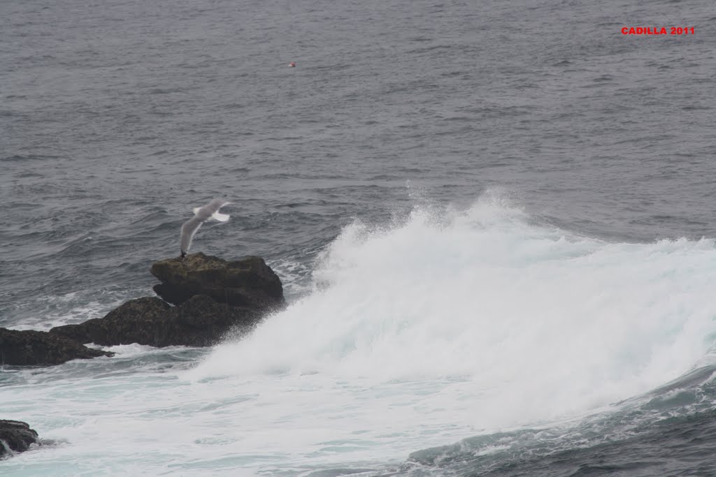 Costa by Manolo Cadilla