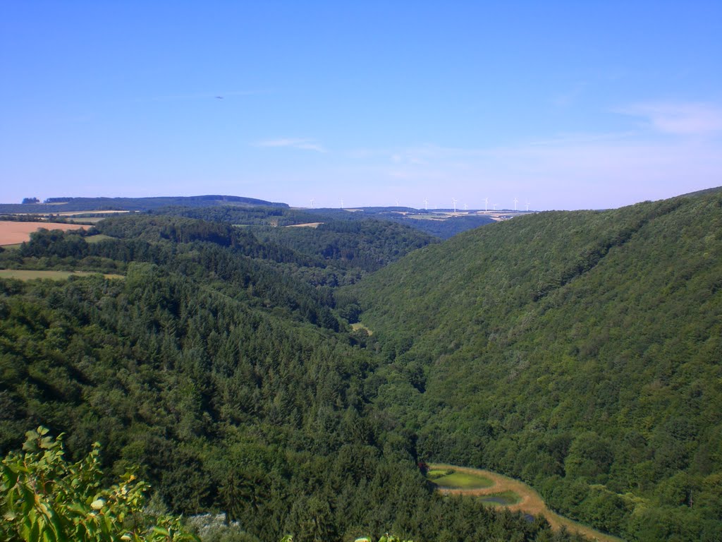 Blick vom Fels der Burg Hunolstein by 1503me