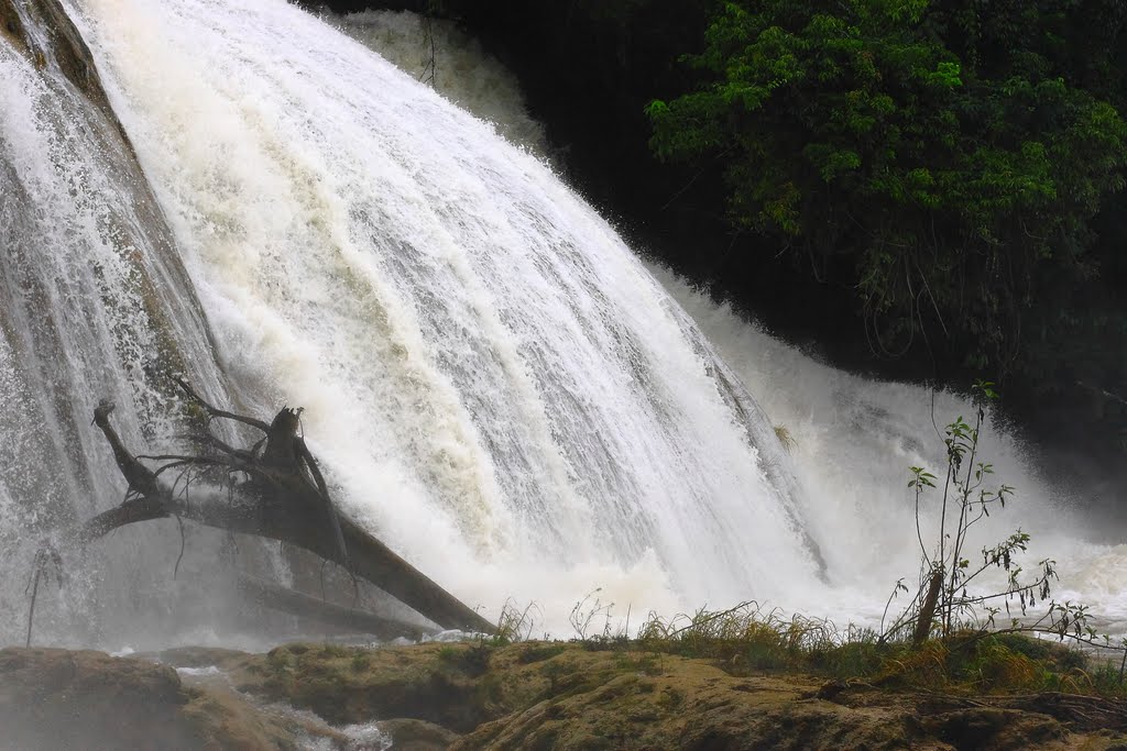 Salto de Agua, Chis., Mexico by Roman Korzh