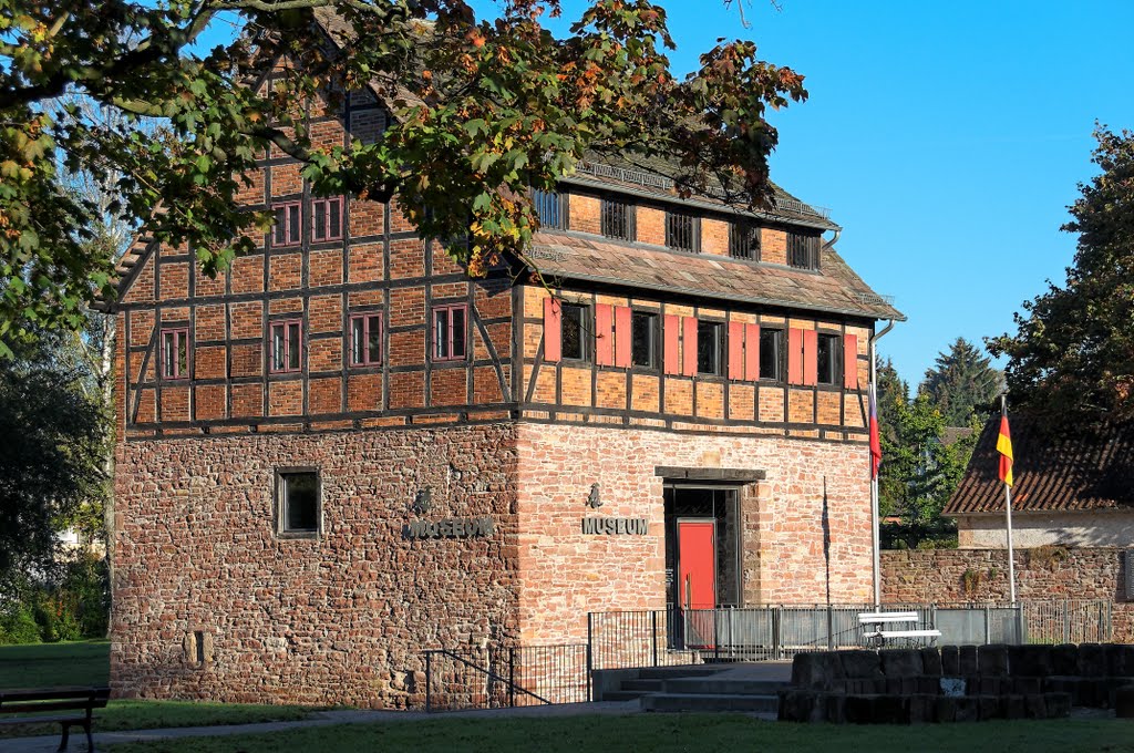 Münchhausens Museum by Reinhard Kerkeling