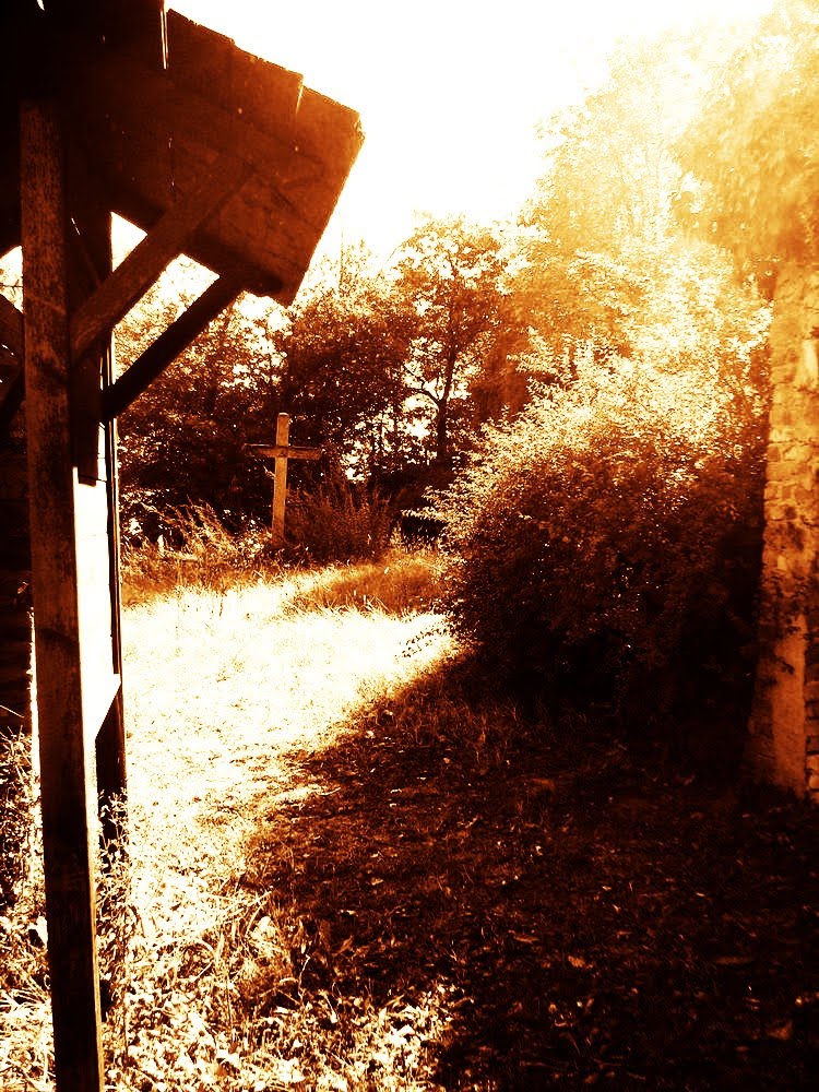 Cimitero (Vecchio) di Montaldo by Alessio Rizzitelli